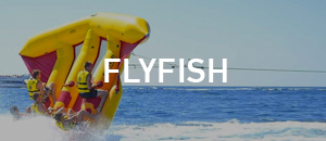Fly Fish Tour - Dubai