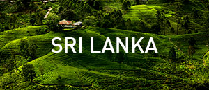 300x130-Sri-Lanka