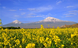 Armenian mountains and fields