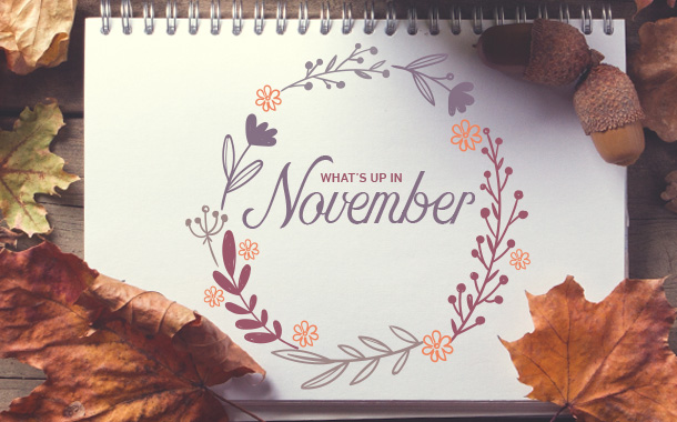 NOVEMBER HIT LIST