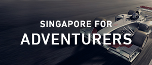 300-singapore-holiday-packages-tours-adventurers