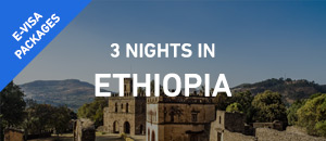 3 nights in Ethiopia - E-Visa...