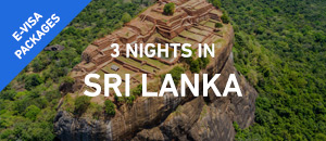 3 nights in Sri Lanka - E-Vis...