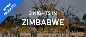 3 nights in Zimbabwe - E-Visa...