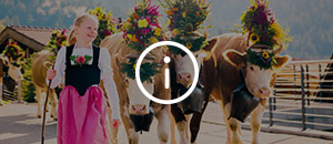 300x130-Switzerland-calling