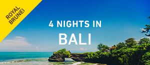 Bali holiday packages - Brunei special offers