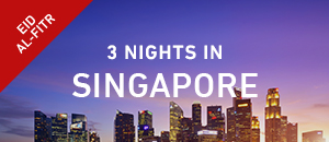 Singapore holiday packages - June vacations