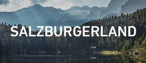 300x130-THUMBNAIL-SalzburgerLand