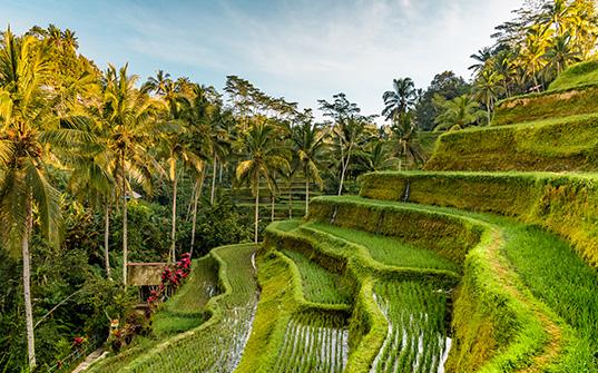 Bali Holiday packages - Itinerary image Day 2
