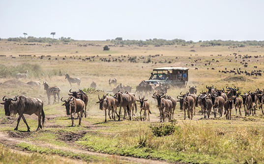 537x335-Itinerary-Images-4-nights-in-Kenya3