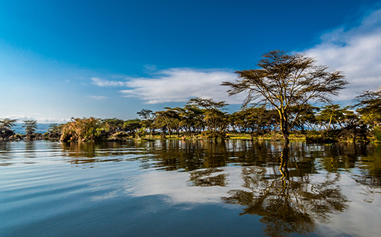 537x335-Itinerary-Images-4-nights-in-Kenya4 537x335-Itinerary-Images-4-nights-in-Kenya4