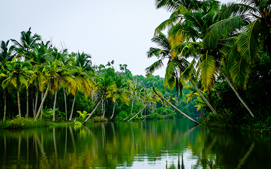537x335-Itinerary-Images-Kerala1