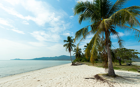537x335-Itinerary-Images-Koh-Yao-Yai3 537x335-Itinerary-Images-Koh-Yao-Yai3