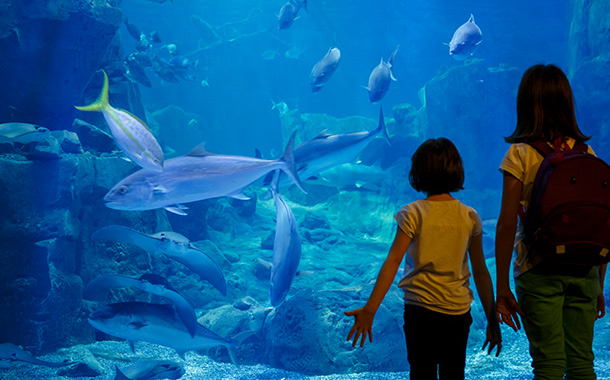 Atlantis Hotel - Lost Chamber Aquarium