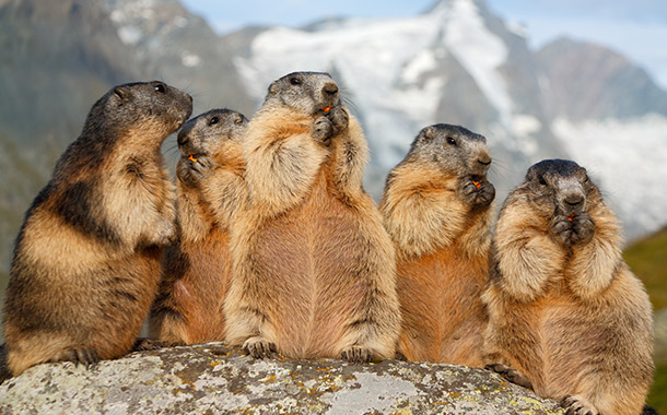 Grossglockner high alpine road - Carousel 1