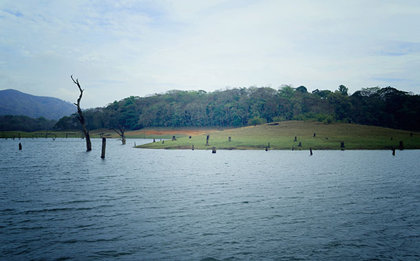 Lake Periyar - Thekkady