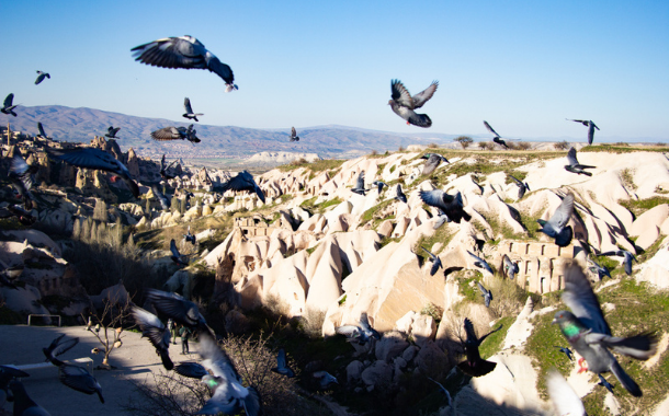 610x380-Web-Pigeon Valley 610x380-Web-Pigeon Valley