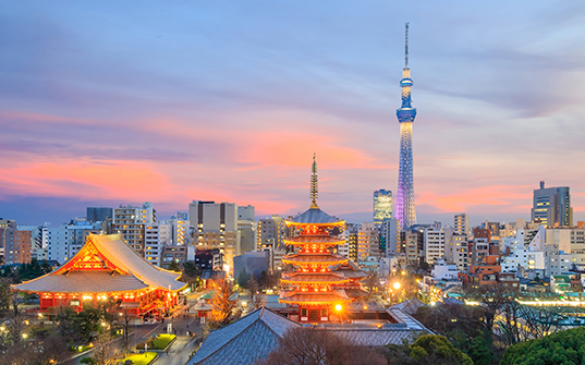 9 Nights in Japan Tour Packages - Tokyo 1