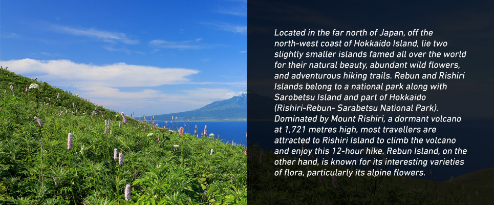 Japan_Rishiri_2017