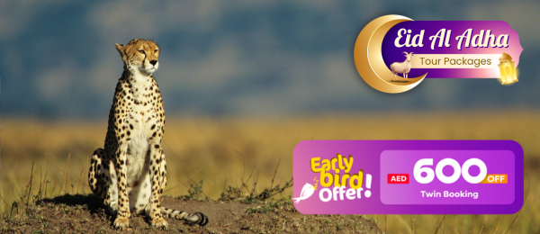 Kenya Tour Package