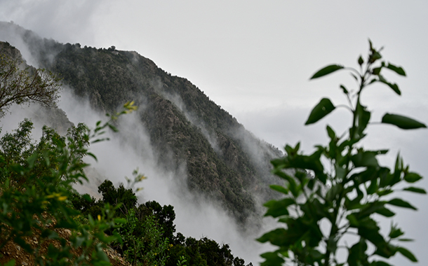 ABHA-PACKAGE 7-2 ABHA-PACKAGE 7-2