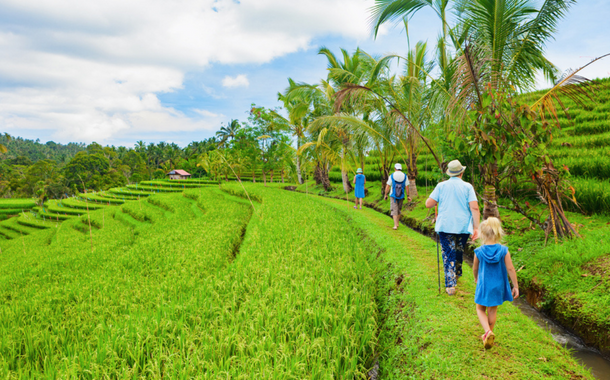 Bali Tour Day 4