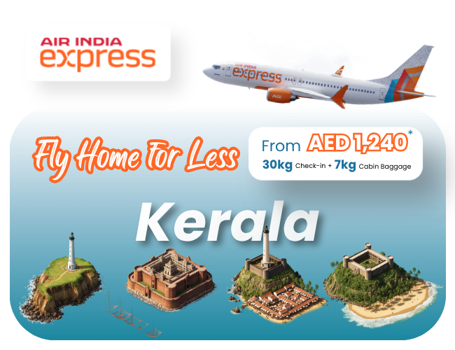 Air India Flight Ticket