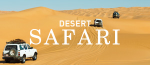 DesertSafari-14012015