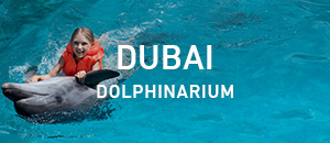 Dubai Dolphinarium (Dolphin &...