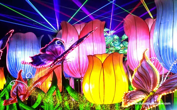 Garden glow dubai - Flowers illuminated image 1