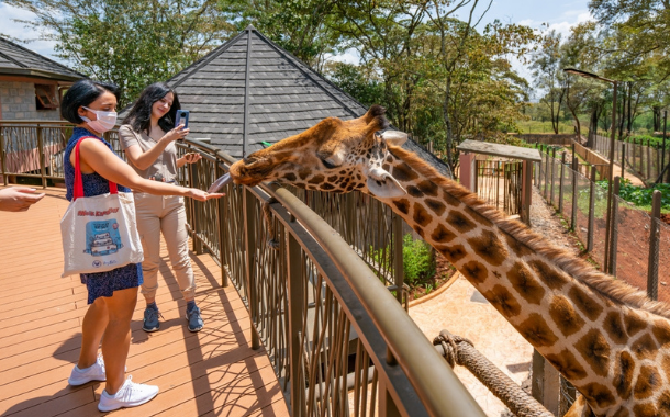 GIRAFFE CENTER-Kenya