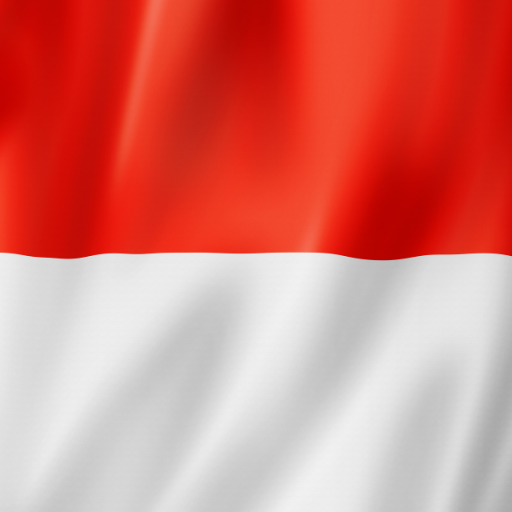 Indonesia evisa