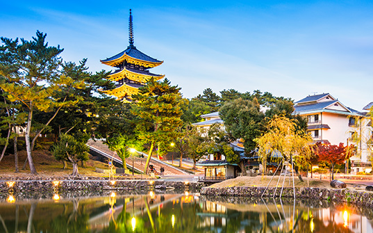 Japan tour - Itinerary -  Kyoto and Nara - Day 7 