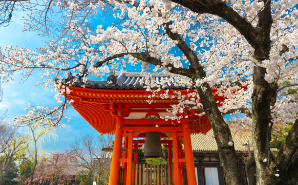 Japan Tour Package 