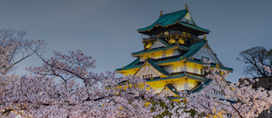Japan Tour Thumbnail 3