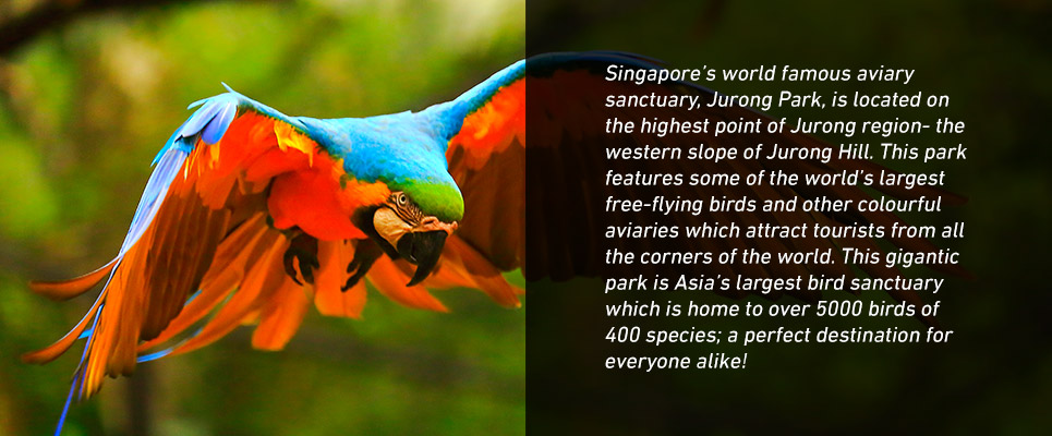 jurong-bird-park