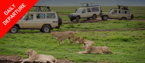 Kenya Daily Departures