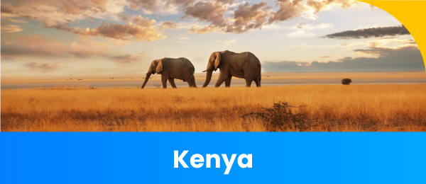 kenya-evisa