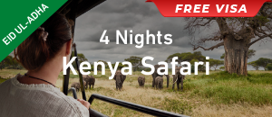 Kenya Safari Tour Thumbnail