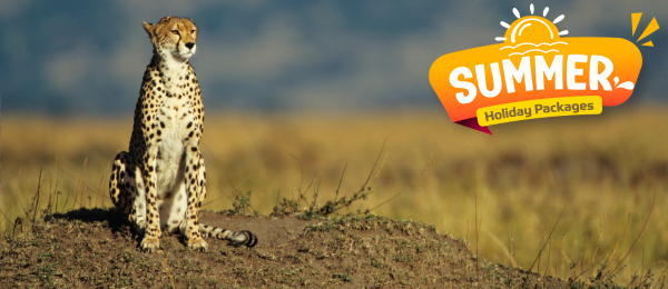 Kenya Tour Package