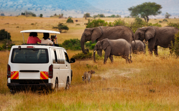 Masai Mara-Kenya