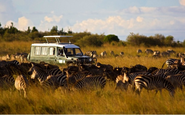Masai Mara Masai Mara