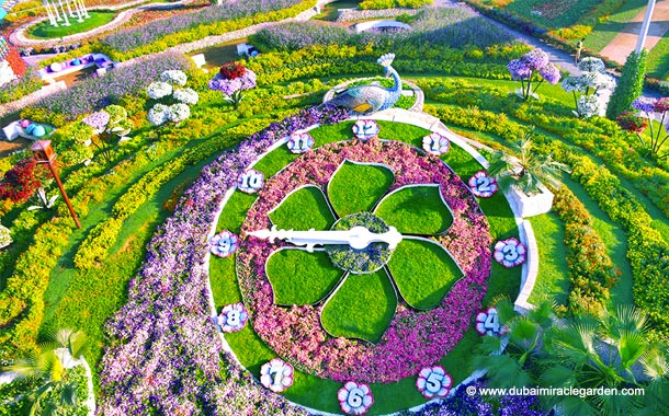 Miracle Garden & Global Village - Best deals & offers - Image 1