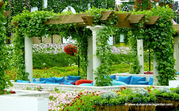 Miracle Garden & Global Village - Best deals & offers - Image 3