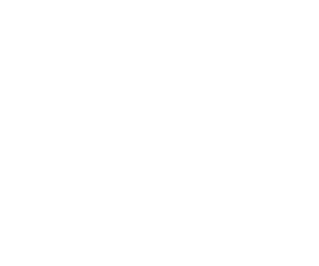 Printemps Carousel