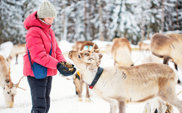 Reindeer Farm Reindeer Farm