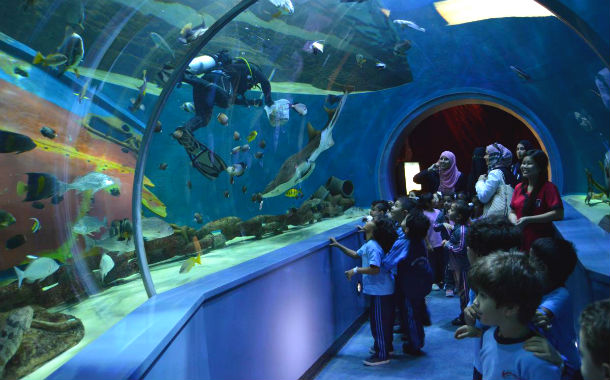 SHJ Aquarium