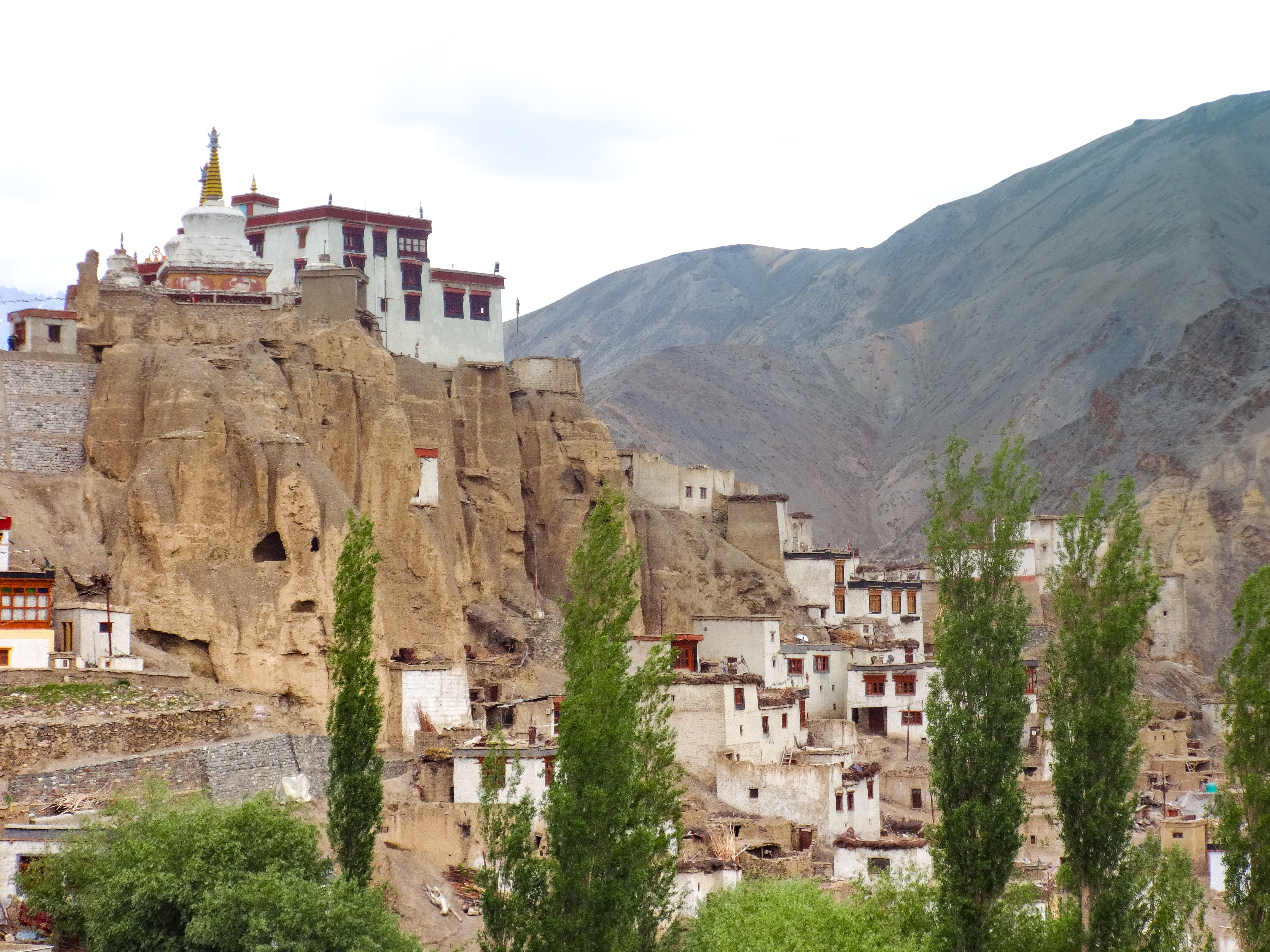 Snow Leopard Expedition India