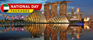 Singapore Tour Thumbnail - National Day Holidays
