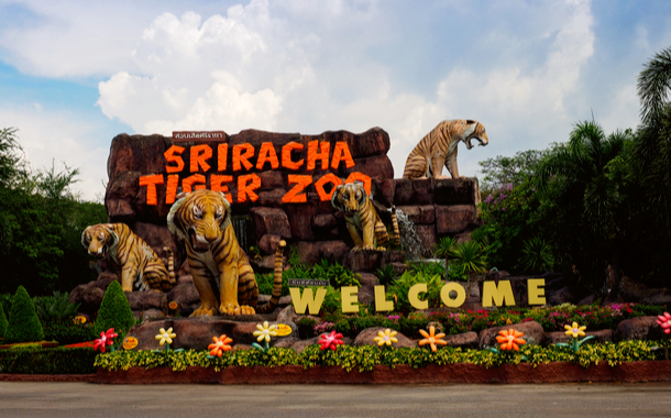 sriracha tiger zoo